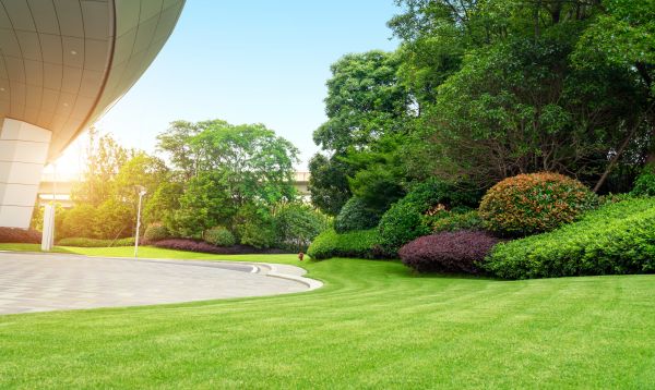 Cost of Commercial Lawn Mowing in Mchenry
