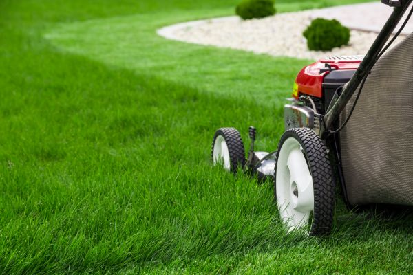 Mowing Service in Mchenry