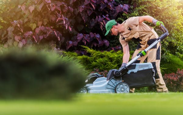 Yard Care Service in Mchenry