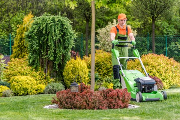 Yard Service in Mchenry
