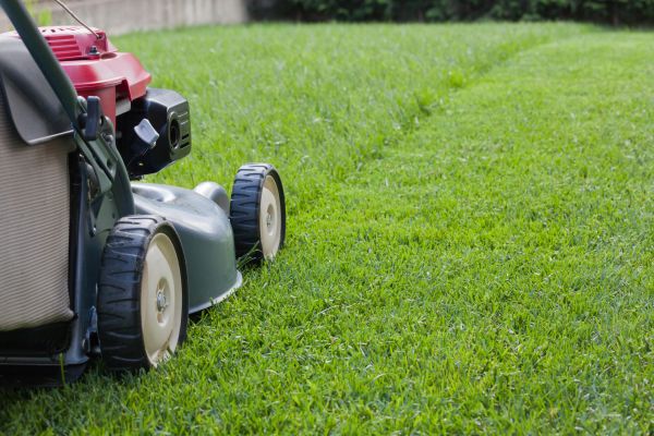 Residential Lawn Care in Mchenry