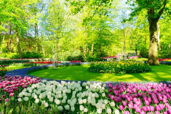 Spring Lawn Care in Mchenry
