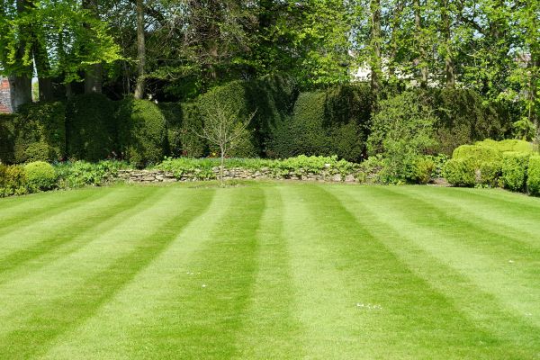 Grass Care Service in Mchenry