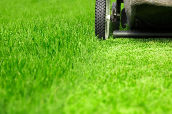 Weekly Lawn Care in Mchenry