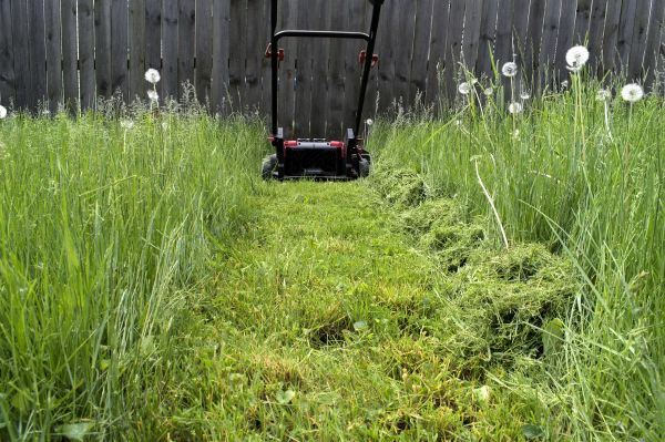 Cost of High Grass Mowing in Mchenry