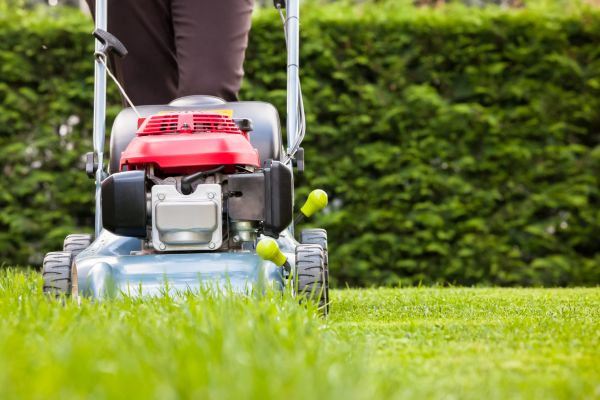 Grass Trimming Service in Mchenry