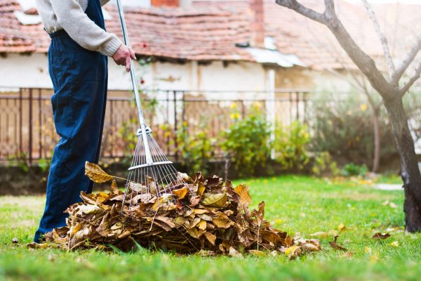 Routine Lawn Maintenance in Mchenry