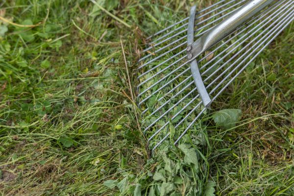 Thatch Raking in Mchenry