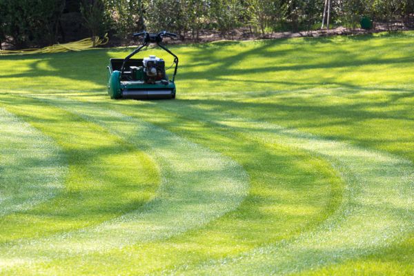 Cost of Business Lawn Mowing in Mchenry
