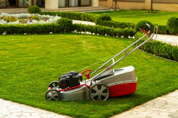 Cost of Business Grass Cutting in Mchenry