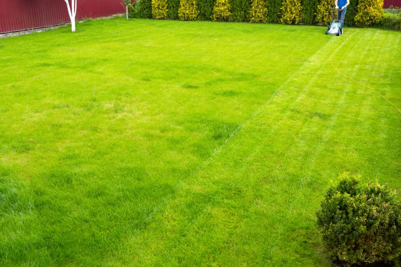 Corporate Lawn Maintenance