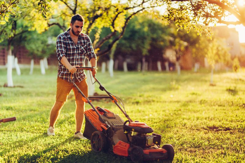 Summer Lawn Care